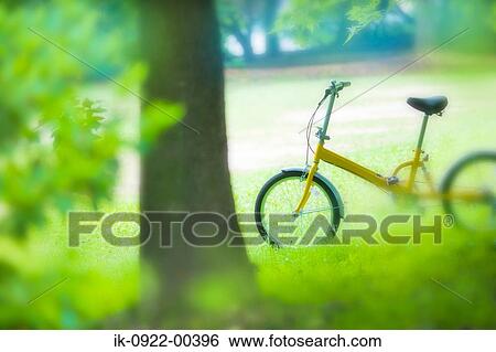 Bicycle Standing in Park View Large Photo Image Stock Photograph - Bicycle Standing in Park. Fotosearch