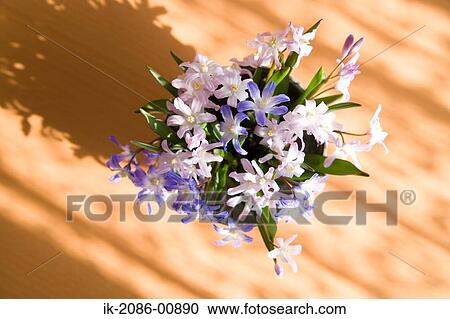 Stock Image - Blooming Colorful Vase. Fotosearch