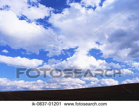 Blue sky with cumulus clouds View Large Photo Image Stock Image - Blue sky with cumulus clouds. Fotosearch
