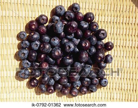 Blueberries on Mat View Large Photo Image Stock Image - Blueberries on Mat. Fotosearch