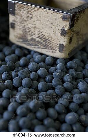 Blueberries View Large Photo Image Stock Photography - Blueberries. Fotosearch