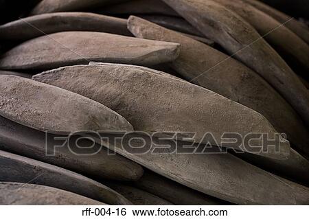 Bonito View Large Photo Image Stock Photograph - Bonito. Fotosearch