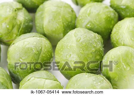 Picture - Brussel Sprouts. Fotosearch