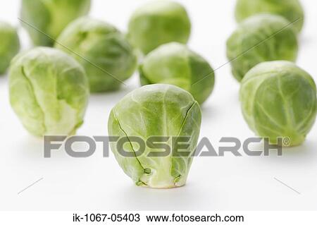 Brussel Sprouts View Large Photo Image Stock Image - Brussel Sprouts. Fotosearch
