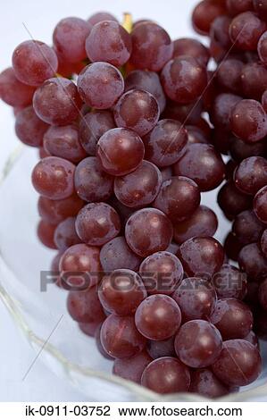 Bunch of black muscatel grapes in bowl View Large Photo Image Stock Image - Bunch of black muscatel grapes in bowl. Fotosearch