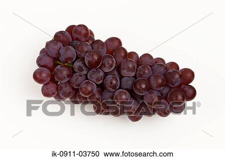 Stock Image - Bunch of black muscatel grapes. Fotosearch