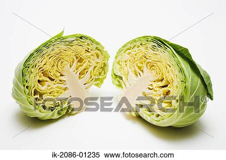 Cabbage Cut in Half on White Background View Large Photo Image Stock Photography - Cabbage Cut in Half on White Background. Fotosearch
