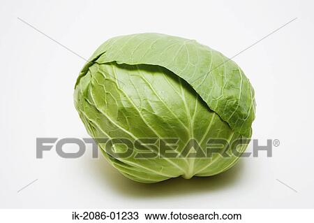 Cabbage on White Background View Large Photo Image Stock Image - Cabbage on White Background. Fotosearch