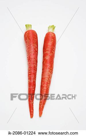 Carrots on White Background View Large Photo Image Picture - Carrots on White Background. Fotosearch