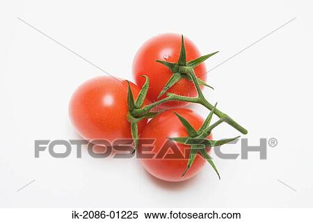 Stock Photography - Cherry Tomato on White Background. Fotosearch