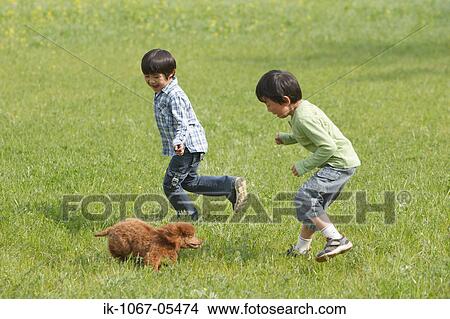 Children playing with a cute puppy in park View Large Photo Image Picture - Children playing with a cute puppy in park. Fotosearch