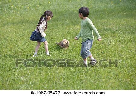 Children playing with a cute puppy in park View Large Photo Image Stock Photo - Children playing with a cute puppy in park. Fotosearch