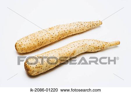 Stock Image - Chinese Yam on White Background. Fotosearch