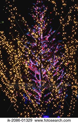 Christmas Illuminations at Night View Large Photo Image Stock Photo - Christmas Illuminations at Night. Fotosearch