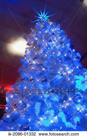 Stock Image - Christmas Tee Shining in Evening. Fotosearch