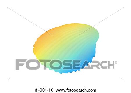 Clam View Large Photo Image Stock Image - Clam. Fotosearch