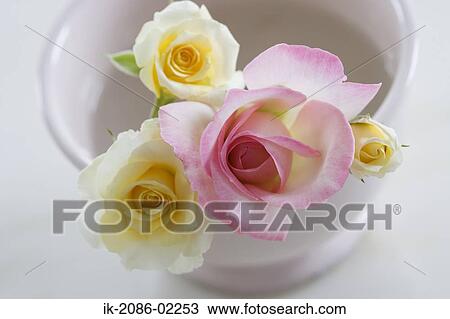 Stock Image - Colourful flowers in a vase. Fotosearch