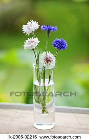 Stock Photograph - Colourful flowers in a vase. Fotosearch