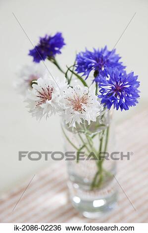 Stock Photograph - Colourful flowers in a vase. Fotosearch