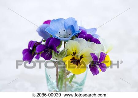 Colourful Flowers in Vase View Large Photo Image Stock Photo - Colourful Flowers in Vase. Fotosearch