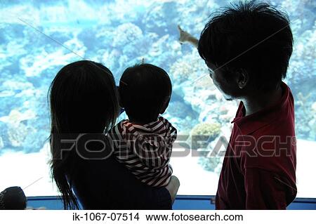 Couple with his child watching aquarium View Large Photo Image Picture - Couple with his child watching aquarium. Fotosearch