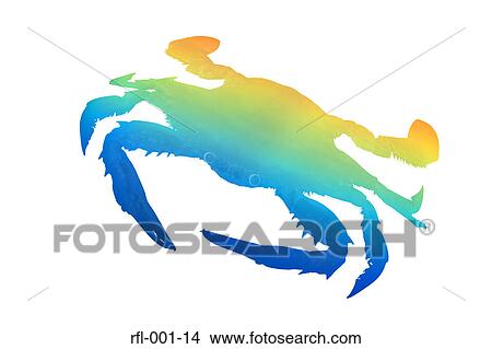 Crab View Large Photo Image Picture - Crab. Fotosearch