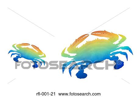 Crab View Large Photo Image Stock Image - Crab. Fotosearch
