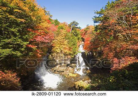 Crown Waterfall in Tochigi Prefecture, Japan View Large Photo Image Stock Image - Crown Waterfall in Tochigi Prefecture, Japan. Fotosearch