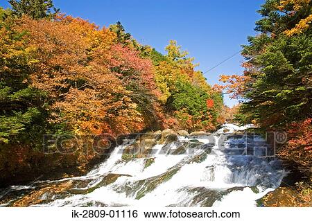 Crown Waterfall in Tochigi Prefecture, Japan View Large Photo Image Stock Photograph - Crown Waterfall in Tochigi Prefecture, Japan. Fotosearch