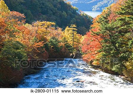 Stock Photography - Crown Waterfall in Tochigi Prefecture, Japan. Fotosearch
