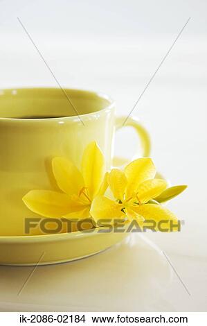 Picture - Cup of herbal tea with flowers. Fotosearch