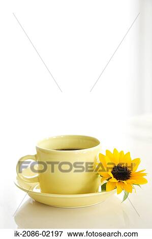 Stock Photo - Cup of herbal tea with sunflower. Fotosearch