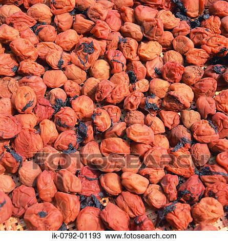 Dried Japanese Plum View Large Photo Image Stock Image - Dried Japanese Plum. Fotosearch