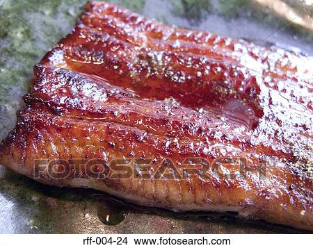 Eel View Large Photo Image Picture - Eel. Fotosearch