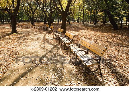 Stock Image - Empty Bench at Yoyogi Park, Shibuya-Ku, Tokyo, Japan. Fotosearch
