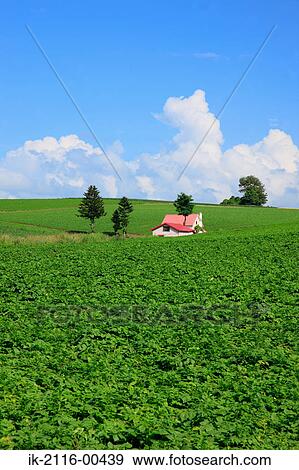 Farmland and grassland against cloudy sky View Large Photo Image Stock Photo - Farmland and grassland against cloudy sky. Fotosearch