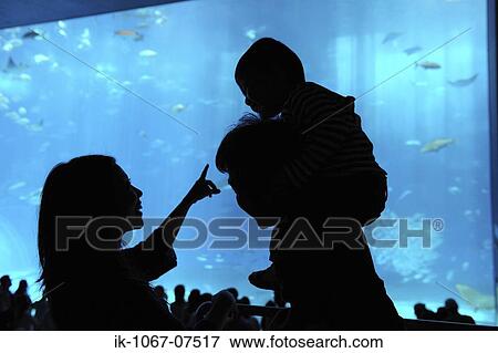 Father with his son watching fish aquarium View Large Photo Image Stock Photo - Father with his son watching fish aquarium. Fotosearch