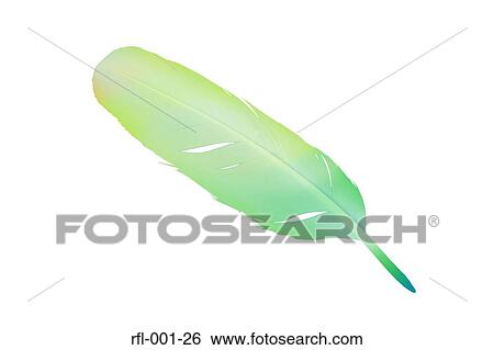 Feather View Large Photo Image Stock Photograph - Feather. Fotosearch