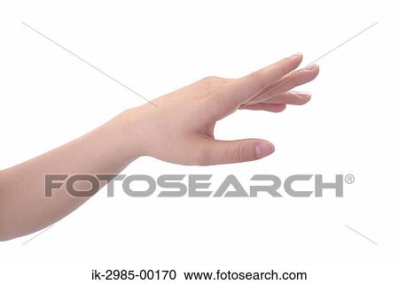 Female Hand in Studio View Large Photo Image Stock Image - Female Hand in Studio. Fotosearch