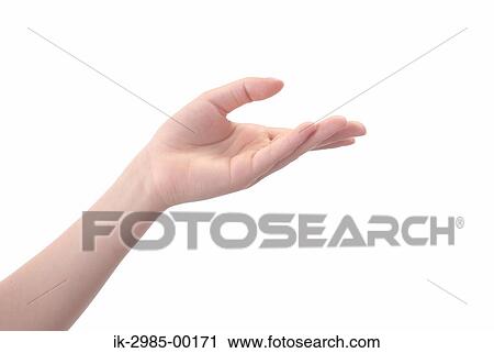 Female Hand in Studio View Large Photo Image Stock Image - Female Hand in Studio. Fotosearch