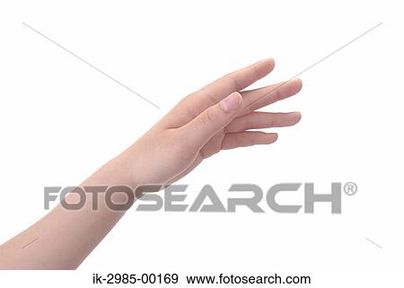 Stock Photo - Female Hand in Studio . Fotosearch