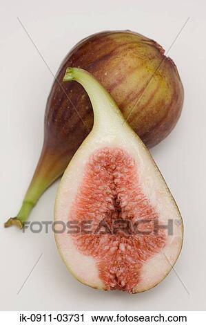 Fig fruit View Large Photo Image Stock Image - Fig fruit. Fotosearch