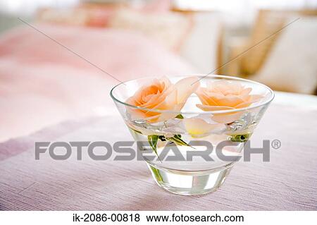 Floating Delicate Rose in Glass Ware View Large Photo Image Stock Photo - Floating Delicate Rose in Glass Ware. Fotosearch