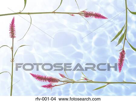 Floral Paper View Large Photo Image Picture - Floral Paper. Fotosearch