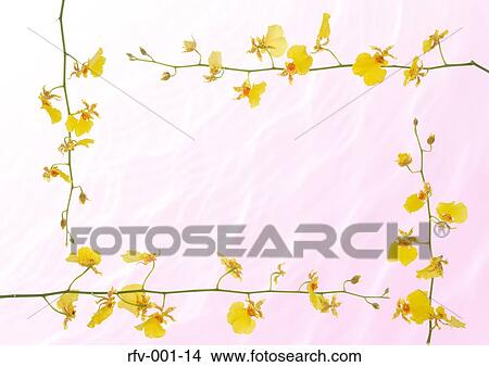 Picture - Floral Paper. Fotosearch