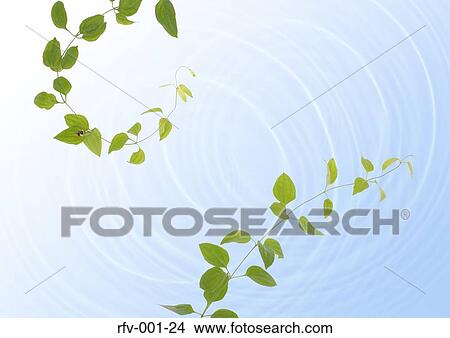 Floral Paper View Large Photo Image Picture - Floral Paper. Fotosearch