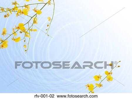 Floral Paper View Large Photo Image Stock Image - Floral Paper. Fotosearch