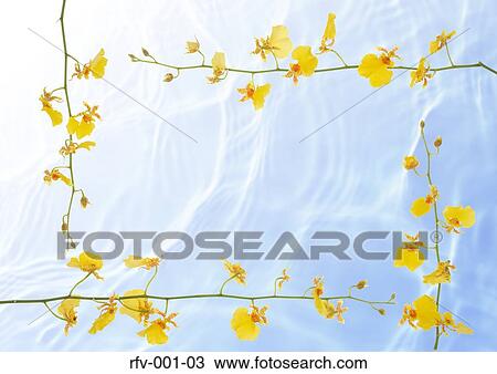 Floral Paper View Large Photo Image Stock Image - Floral Paper. Fotosearch