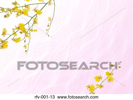 Stock Image - Floral Paper. Fotosearch
