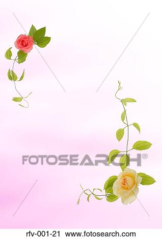 Floral Paper View Large Photo Image Stock Image - Floral Paper. Fotosearch